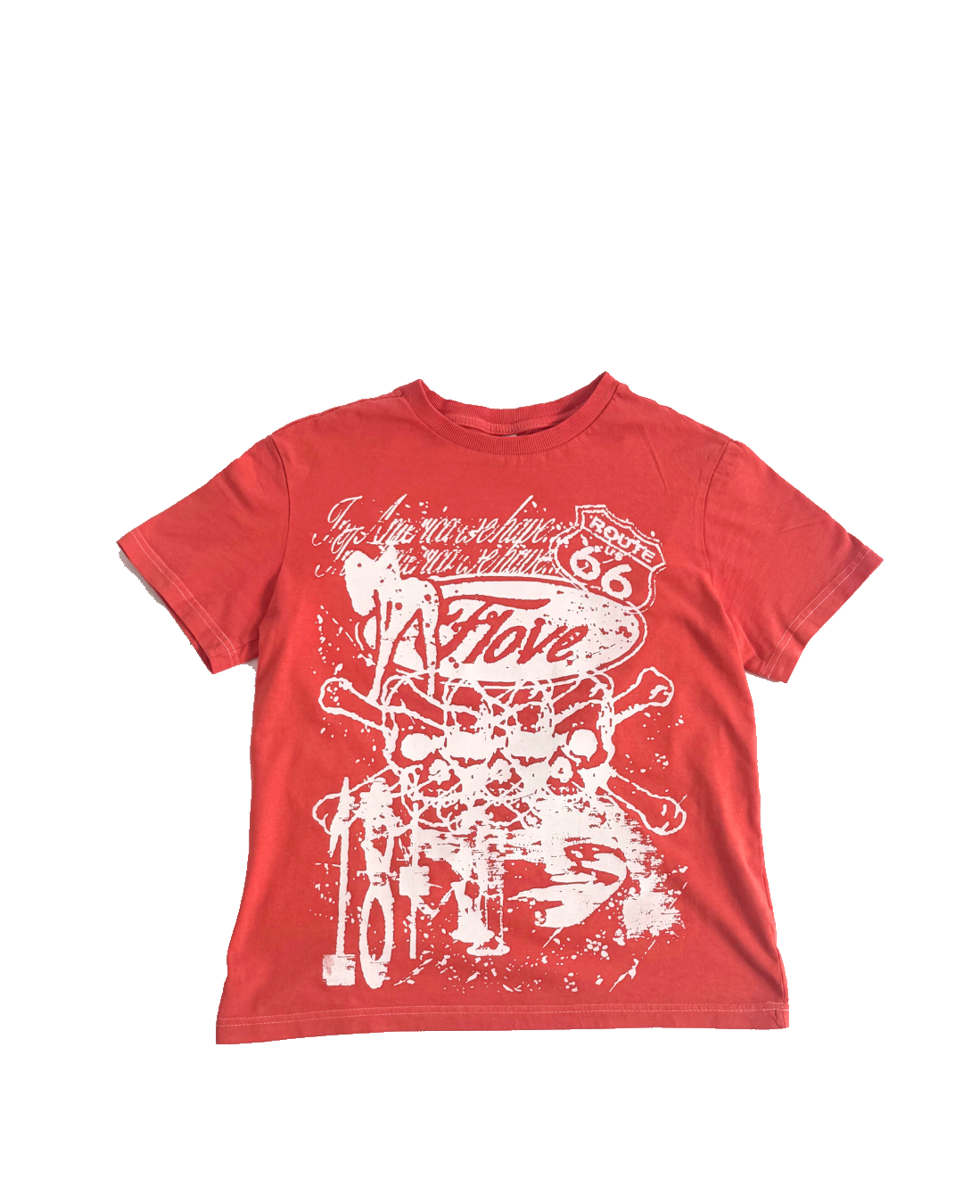 "america" t-shirt